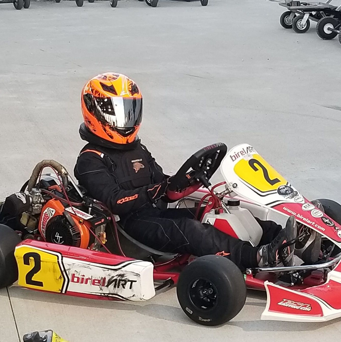 Profile of Ava Elder