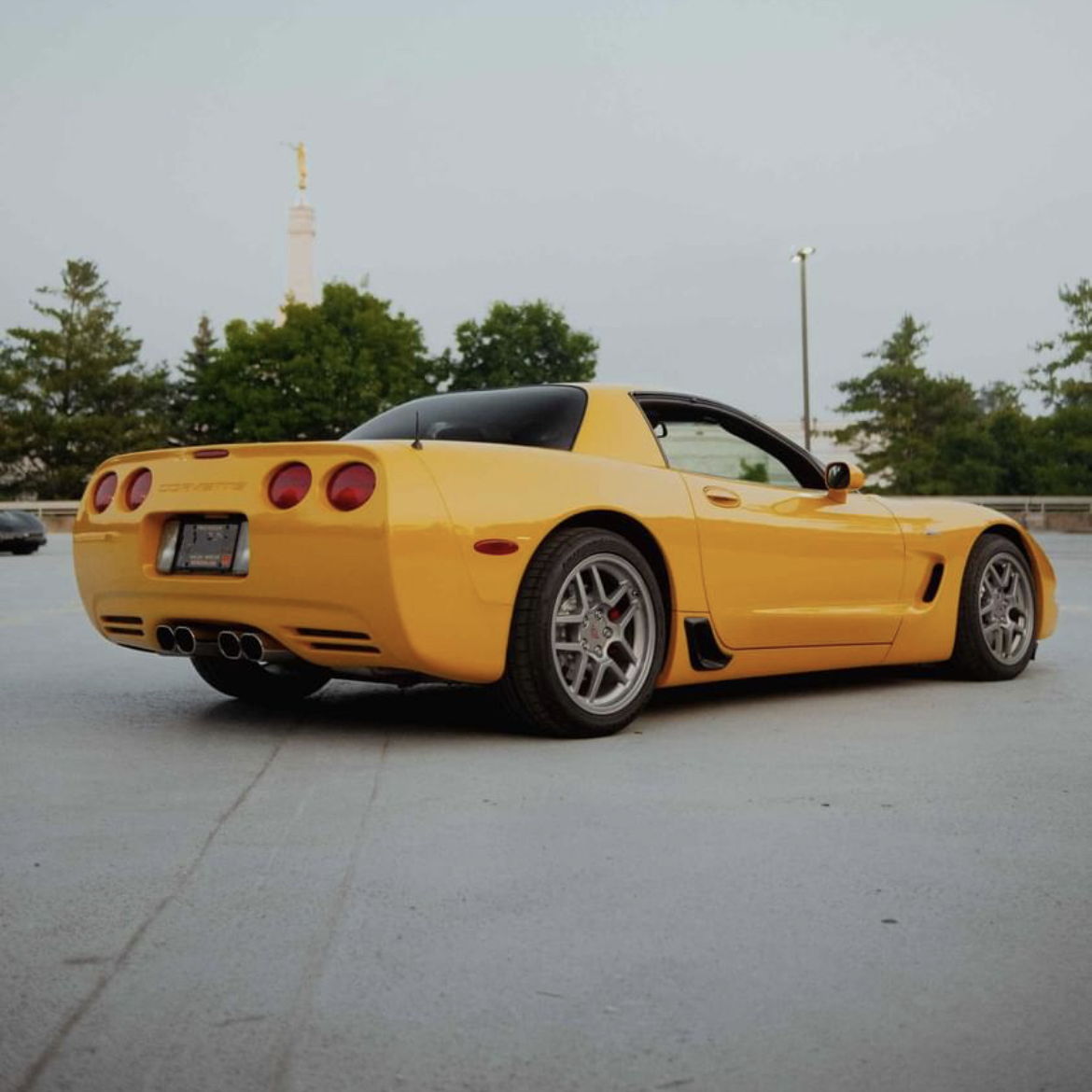 Profile of Dario Toppi