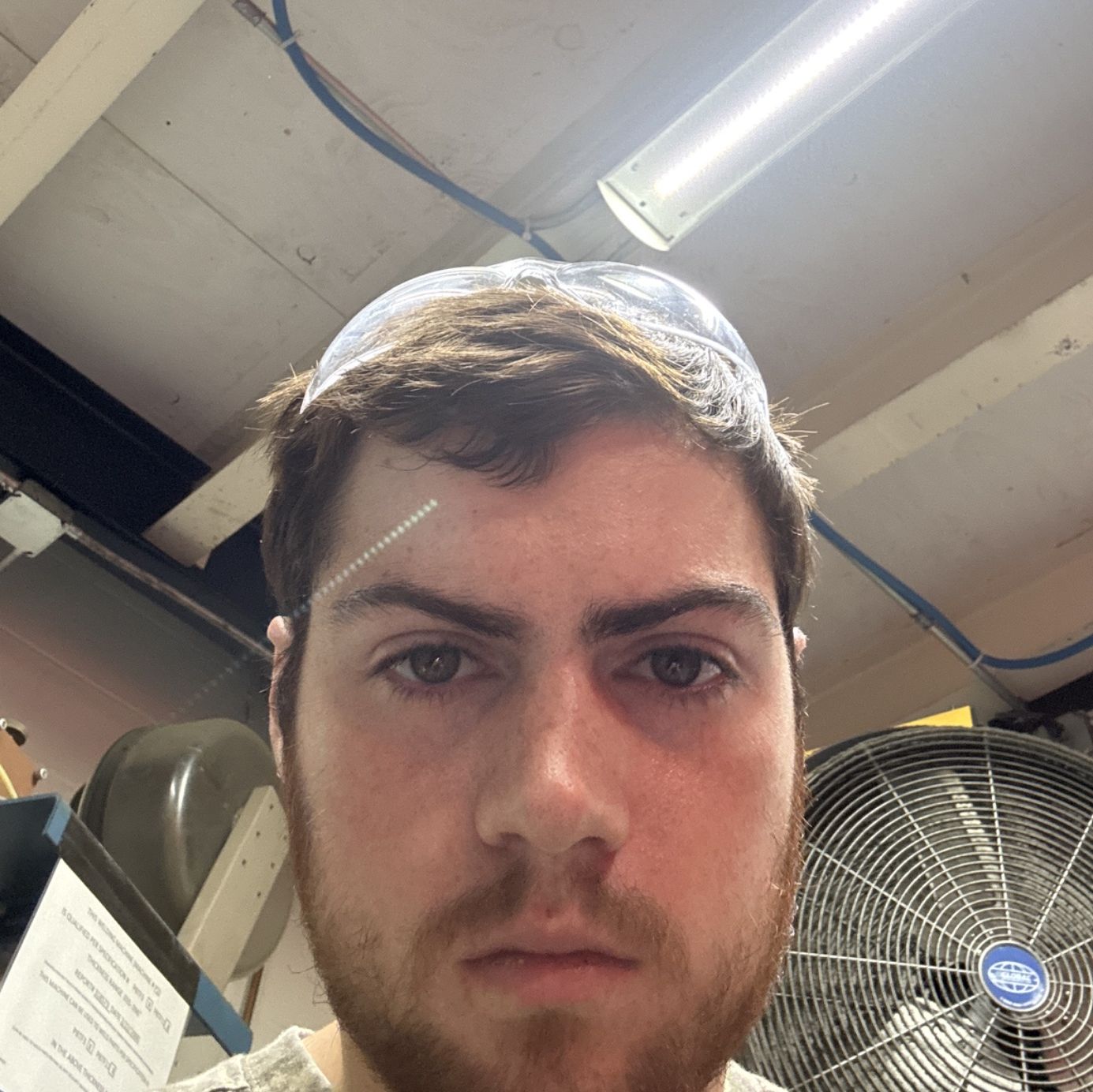 Profile of Andrew Defranzo