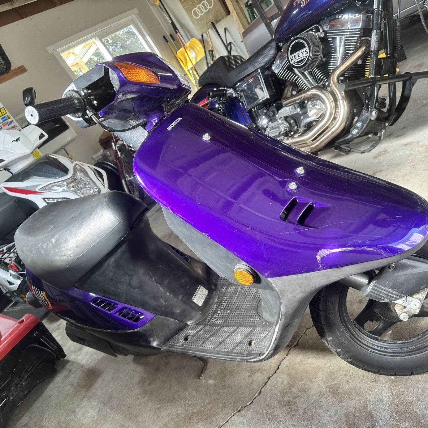 Profile of Bailey Wolfgram