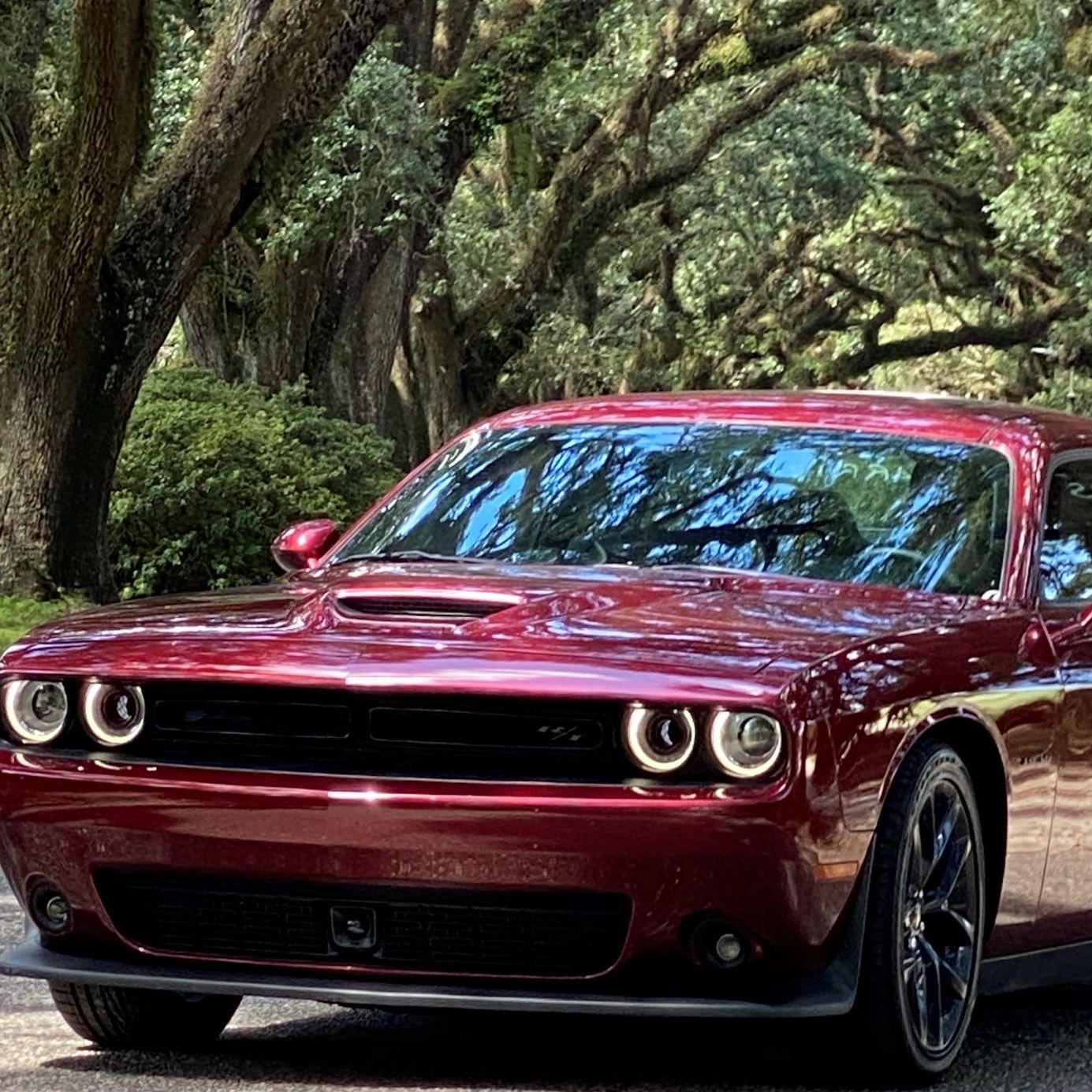 Profile of Melissa Drake