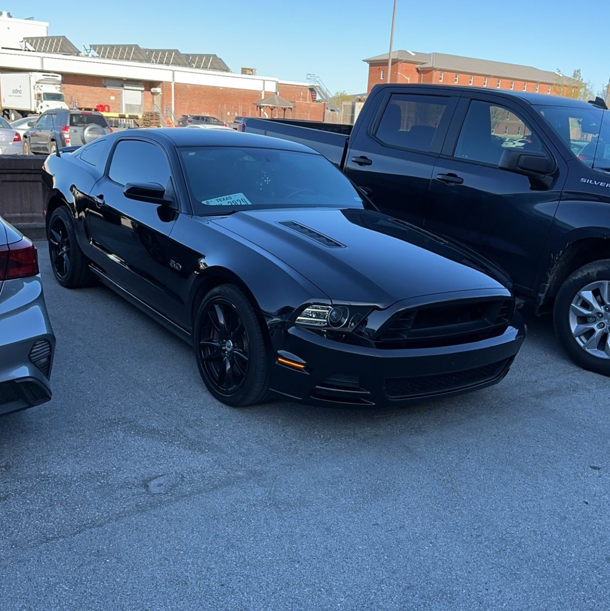 Profile of Nicklaus Lavazzo