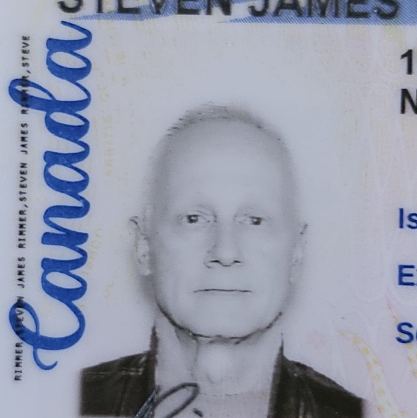 Profile of Steven Rimmer