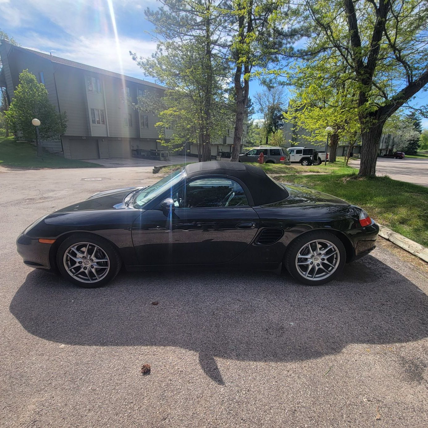 Profile of Sape Freeman