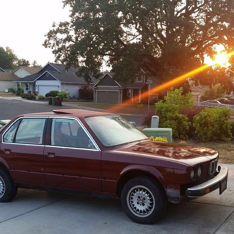 Profile of Jacob Falk