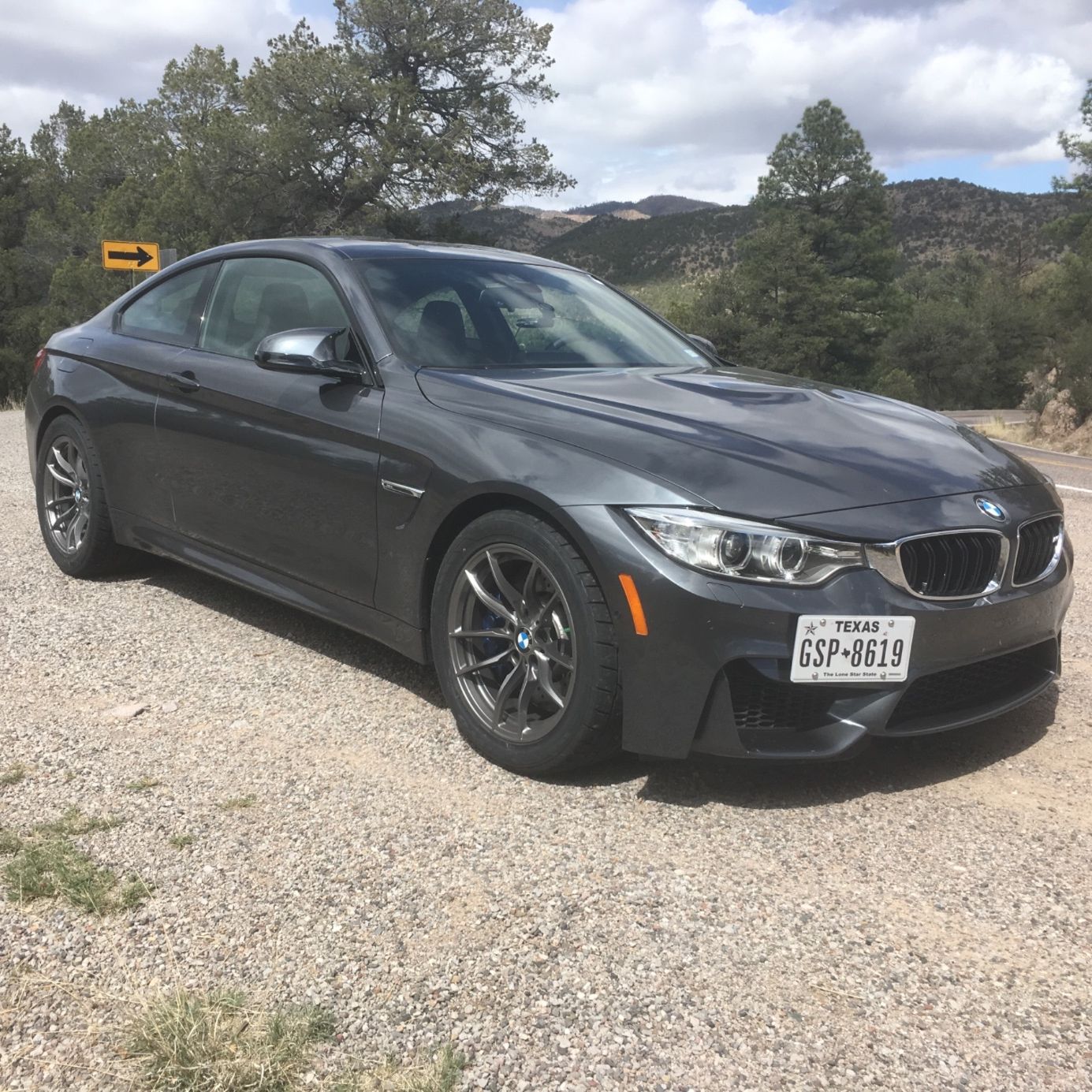 Profile of Mark Winton