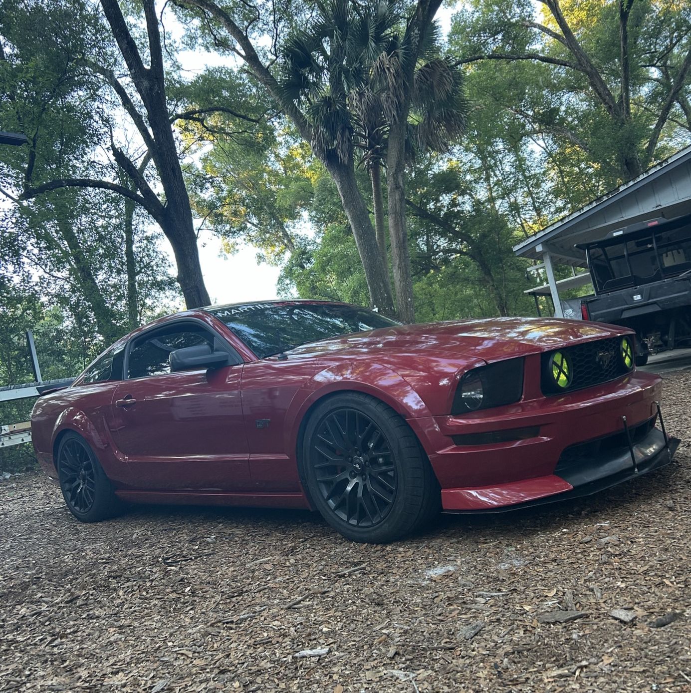 Profile of David Martin