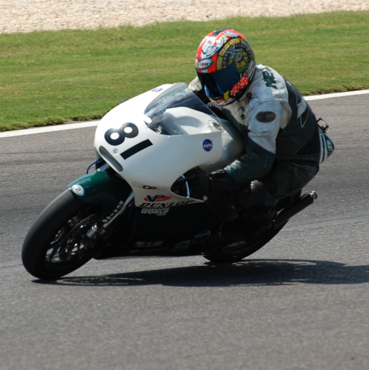 Profile of Paul Nelson