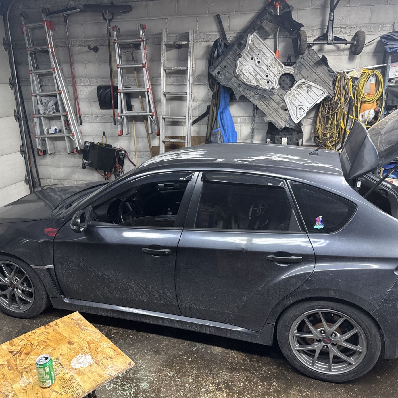 Profile of Matthew Mitchell