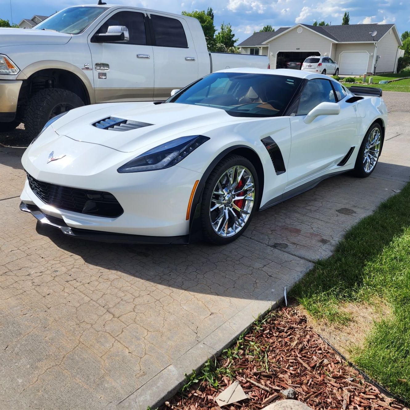 Profile of David Roseberry