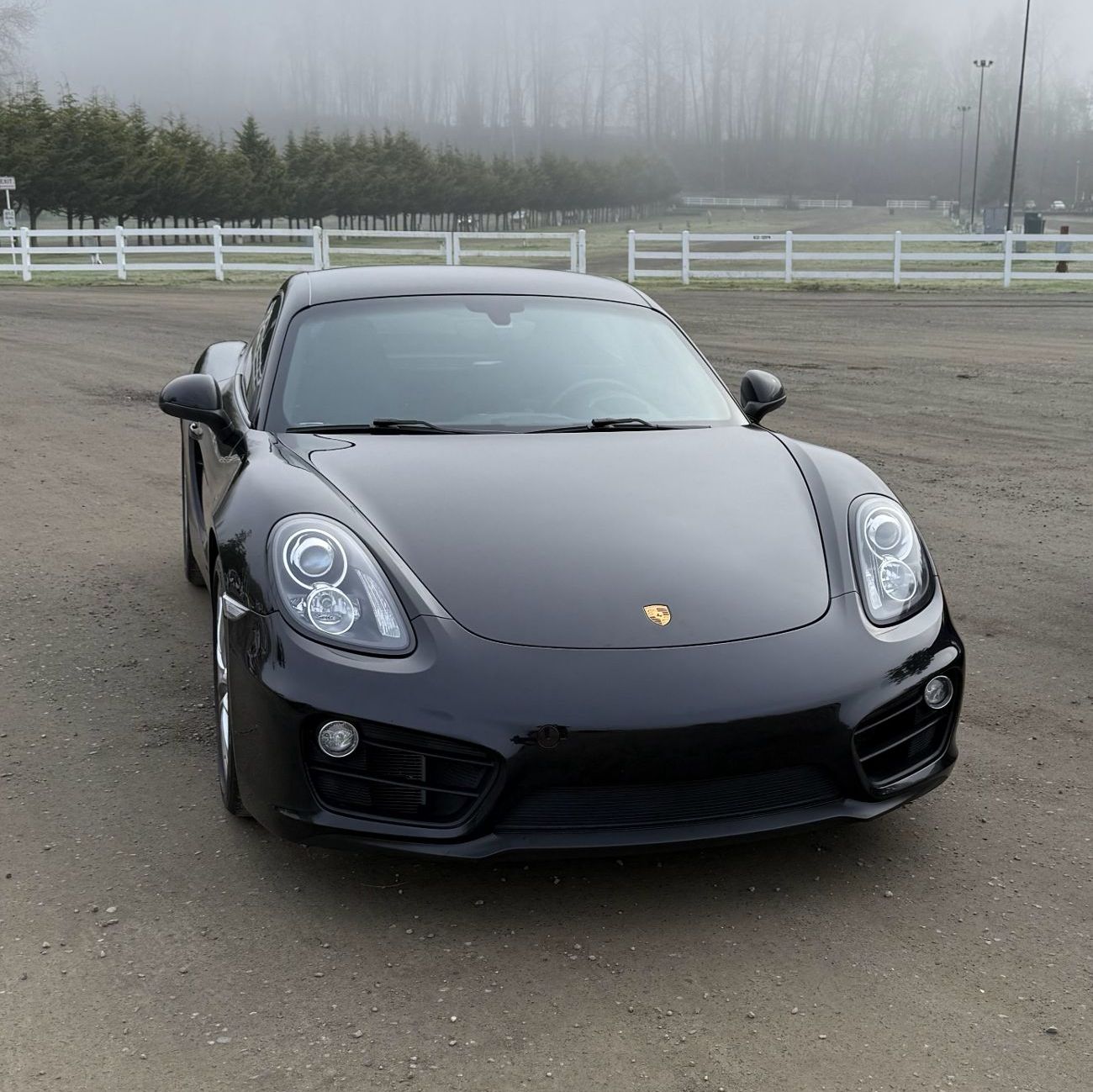 Profile of Wataru Ueno