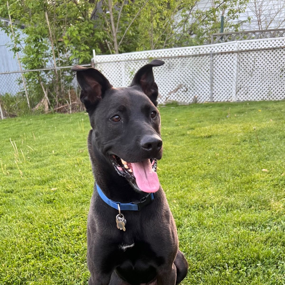 Profile of Lisa Brown