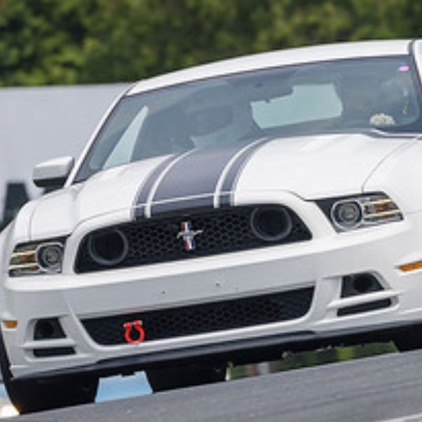 Profile of Mark Weeks