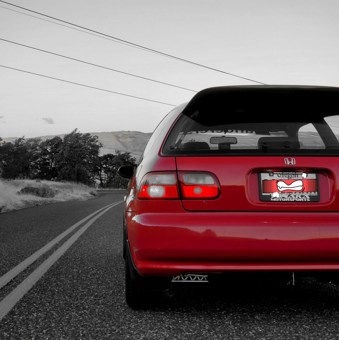 Profile of Enrique Robles