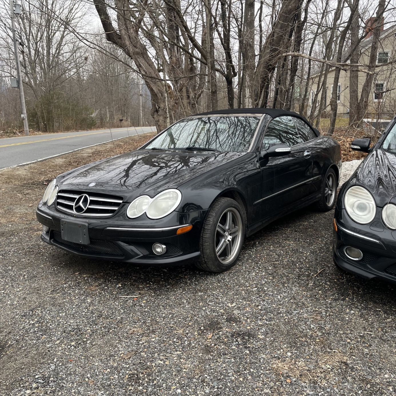 Profile of Allie Cebula