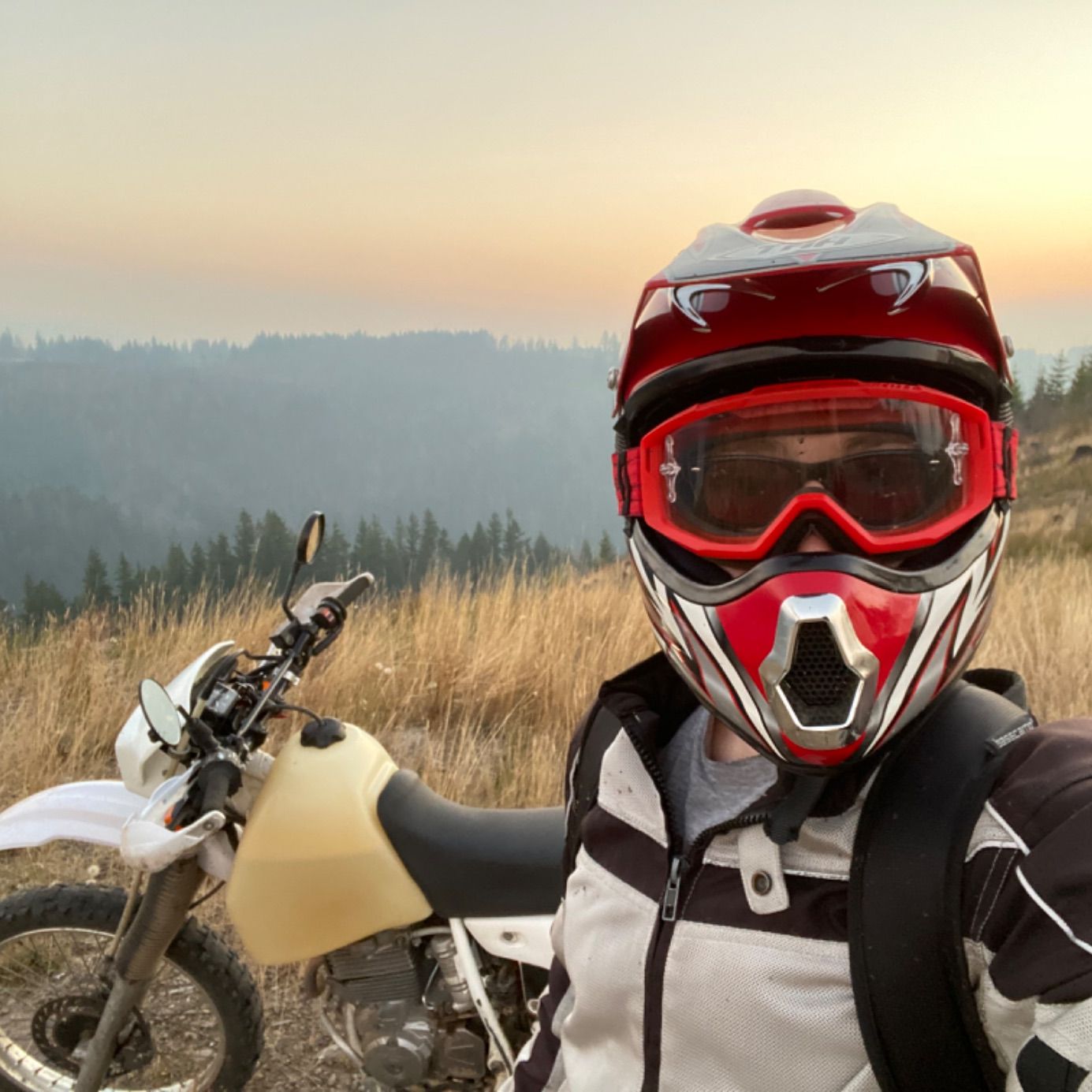 Profile of Torin Walhood