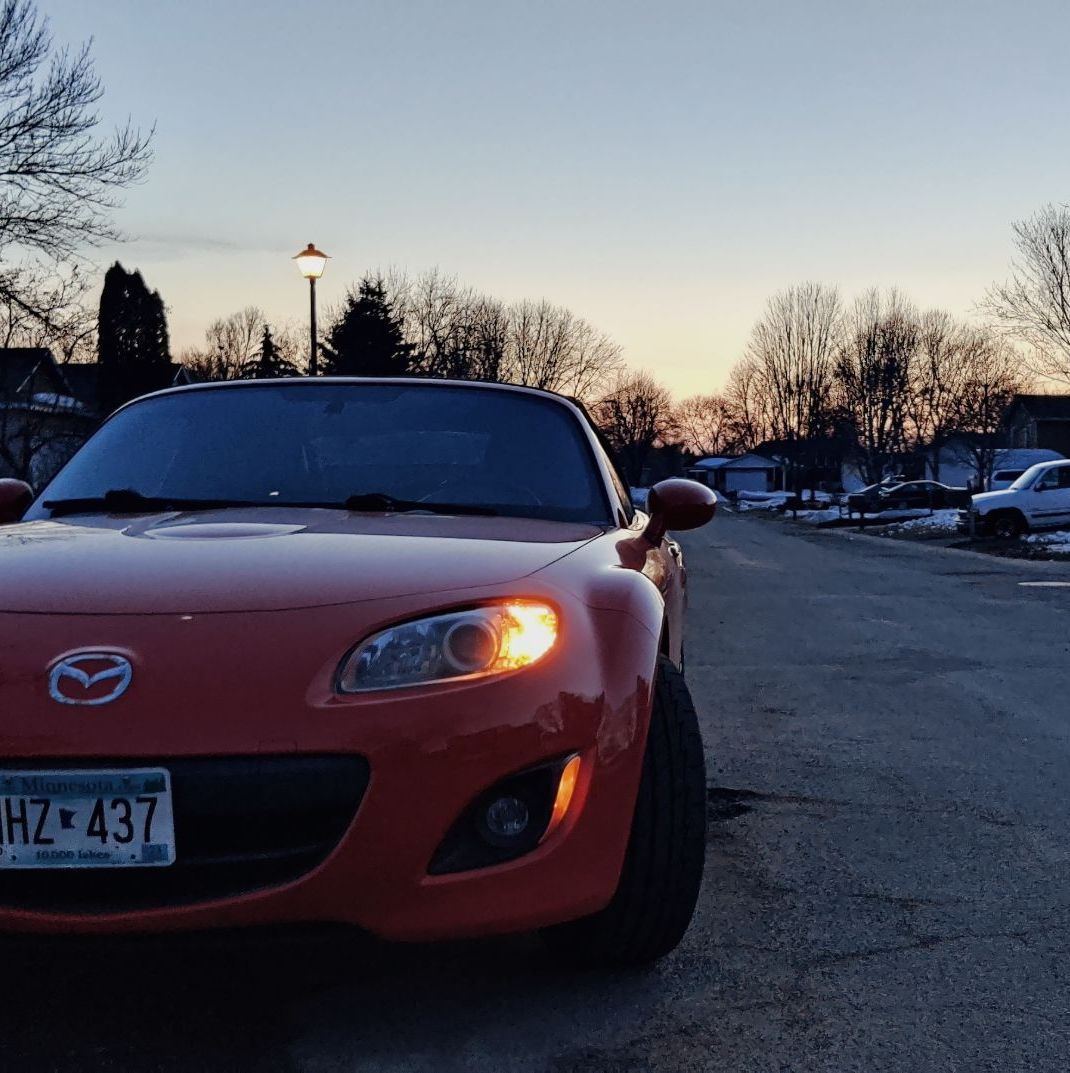 Profile of Jessica Llewellyn