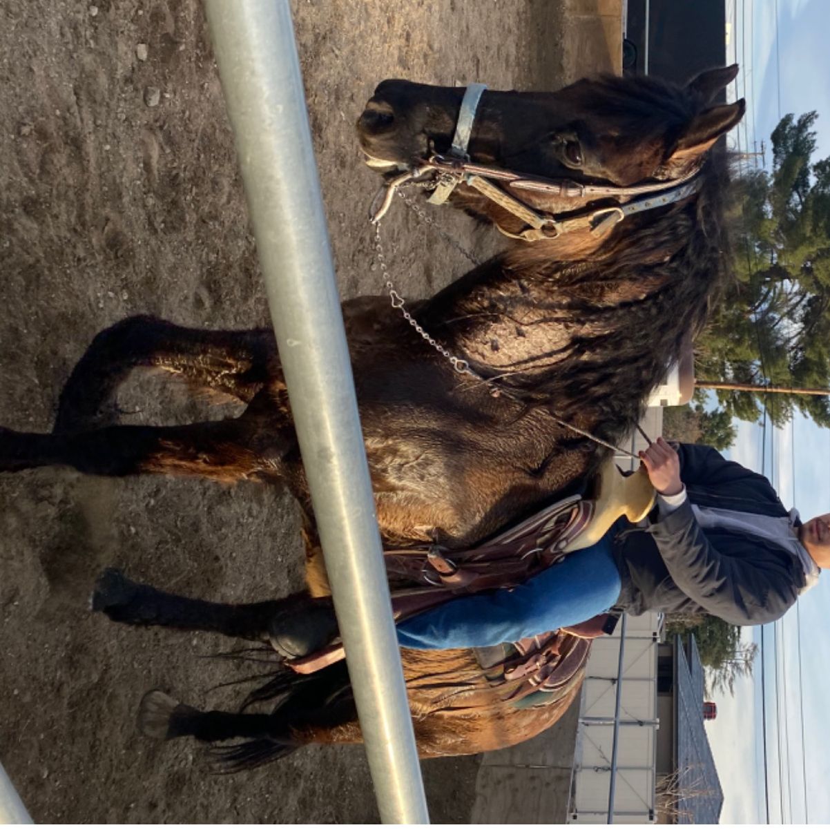 Profile of Zachary Perez