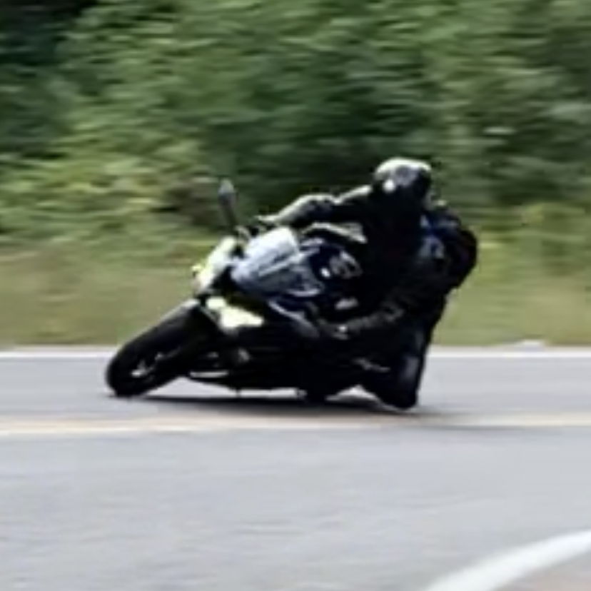 Profile of Max Essaulov