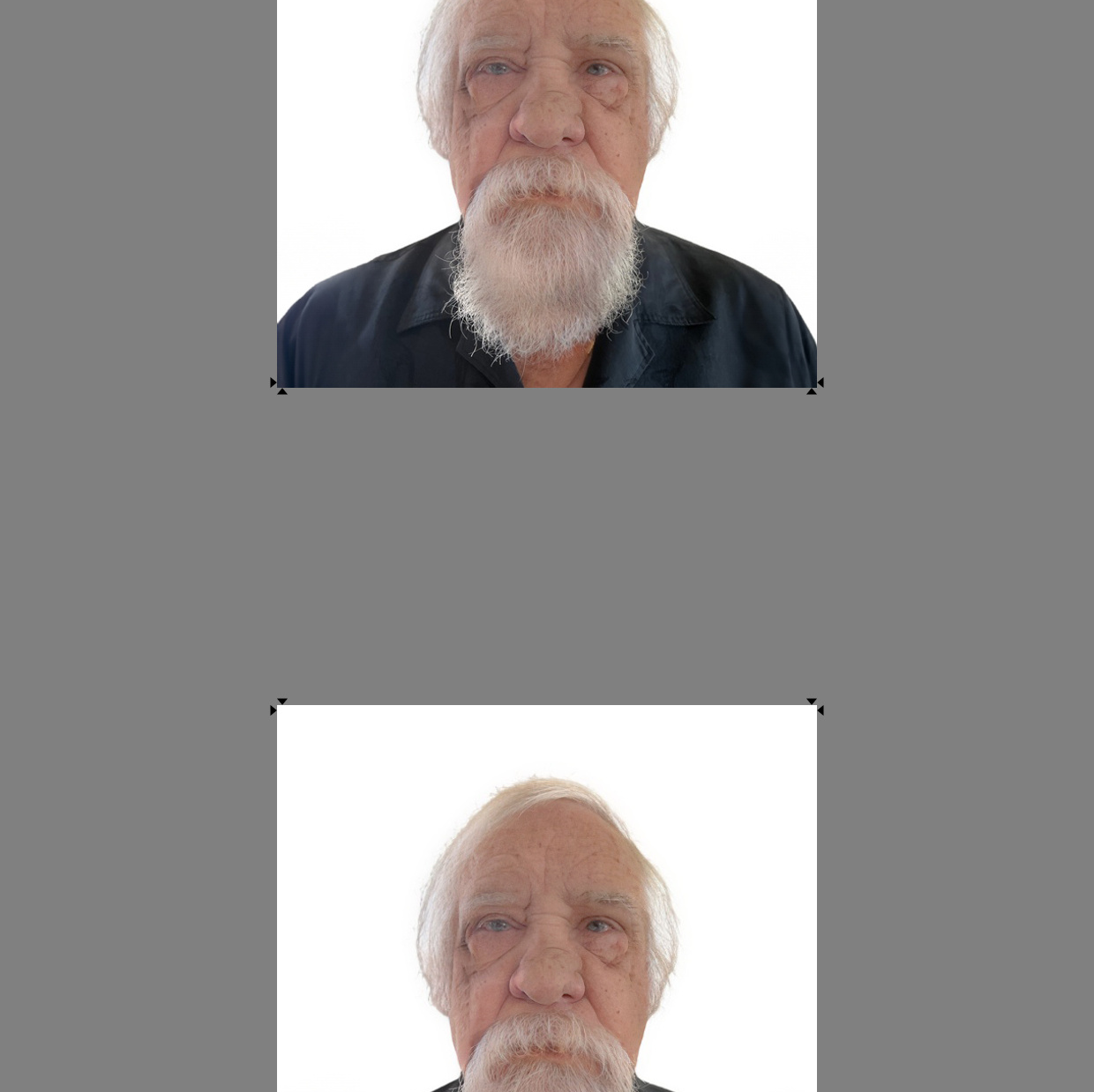 Profile of Peter Heacock