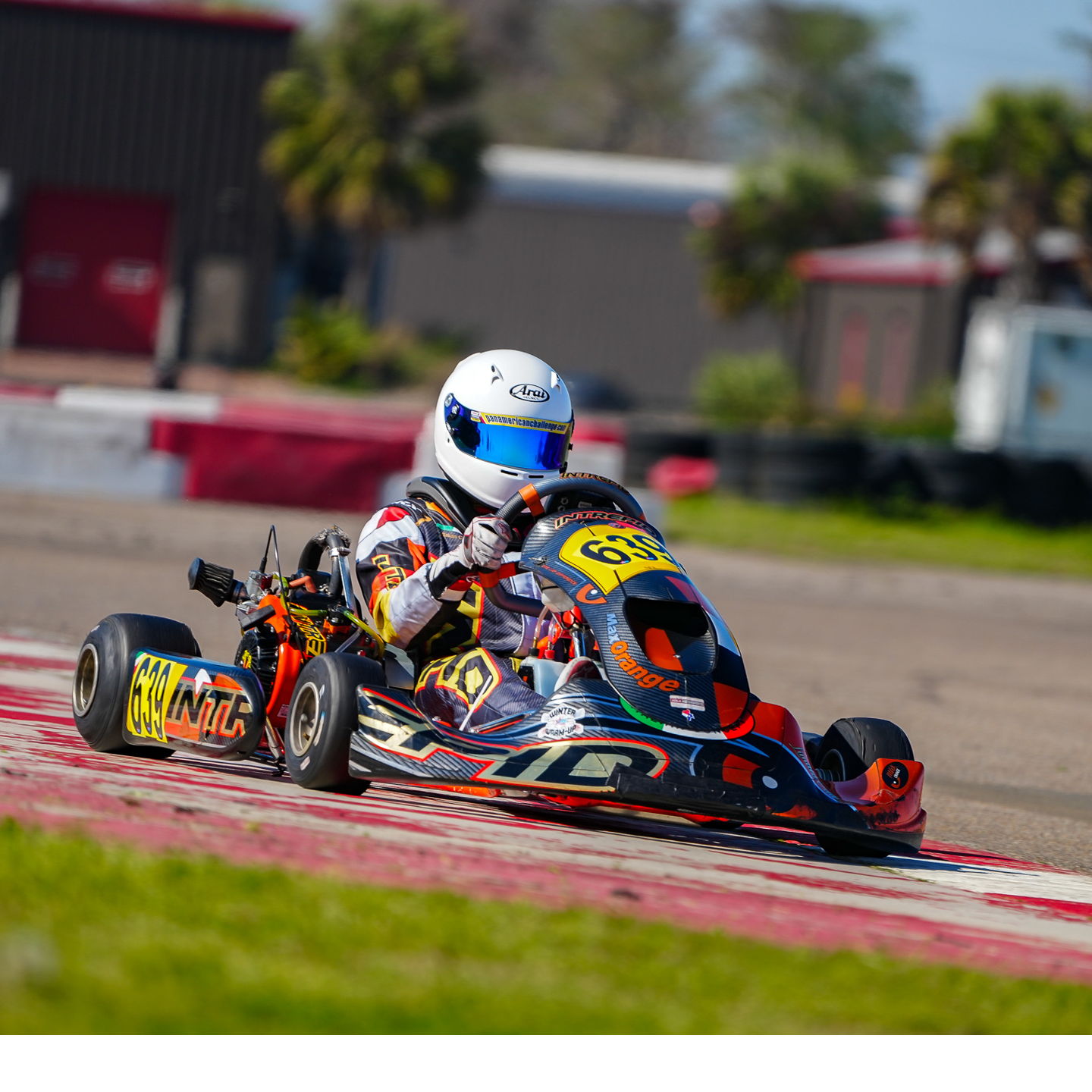 Profile of Ethan Gonzalez