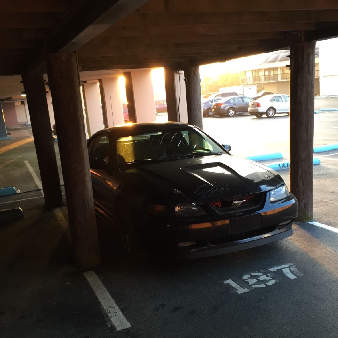 Profile of Nick Gadzinski