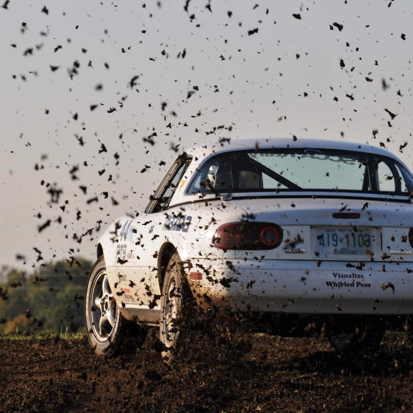 Profile of David delGenio