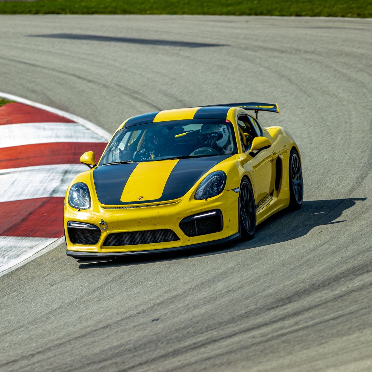 Profile of Emerson Moser