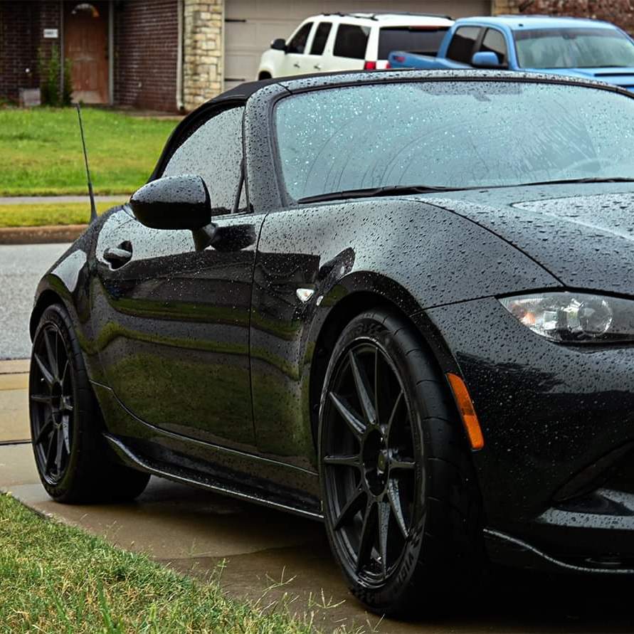 Profile of Alyssa Withrow