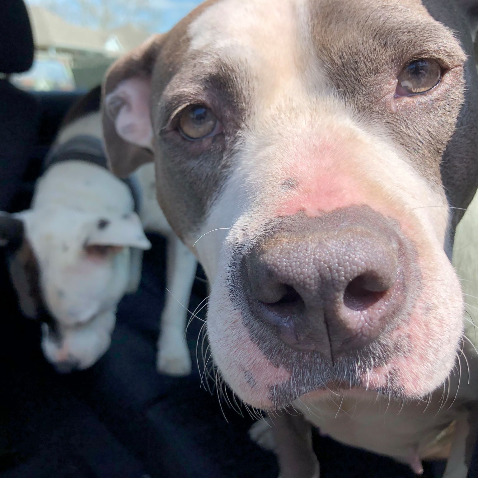 Profile of Michael Van Benten