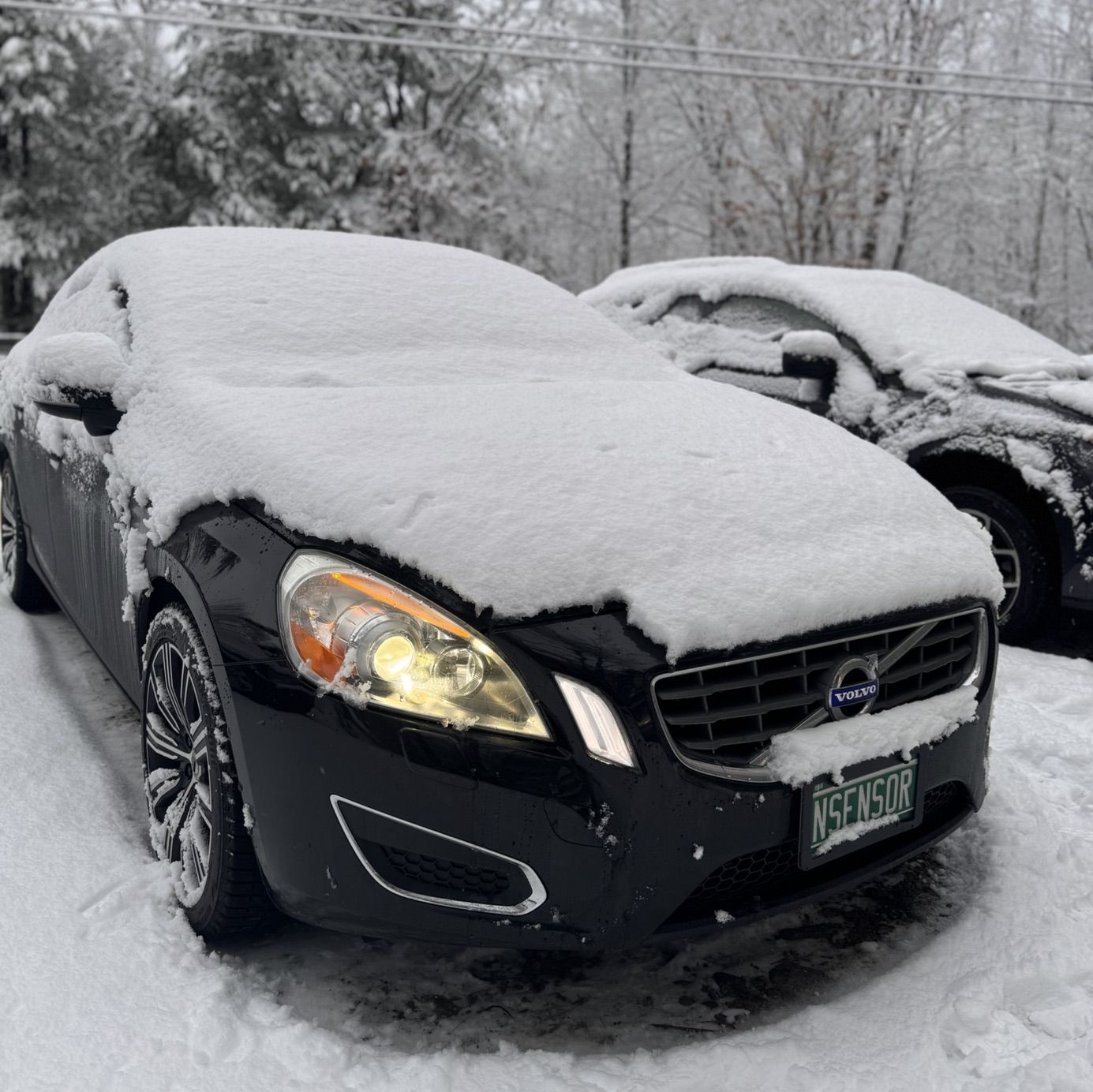 Profile of Natalie Sensor