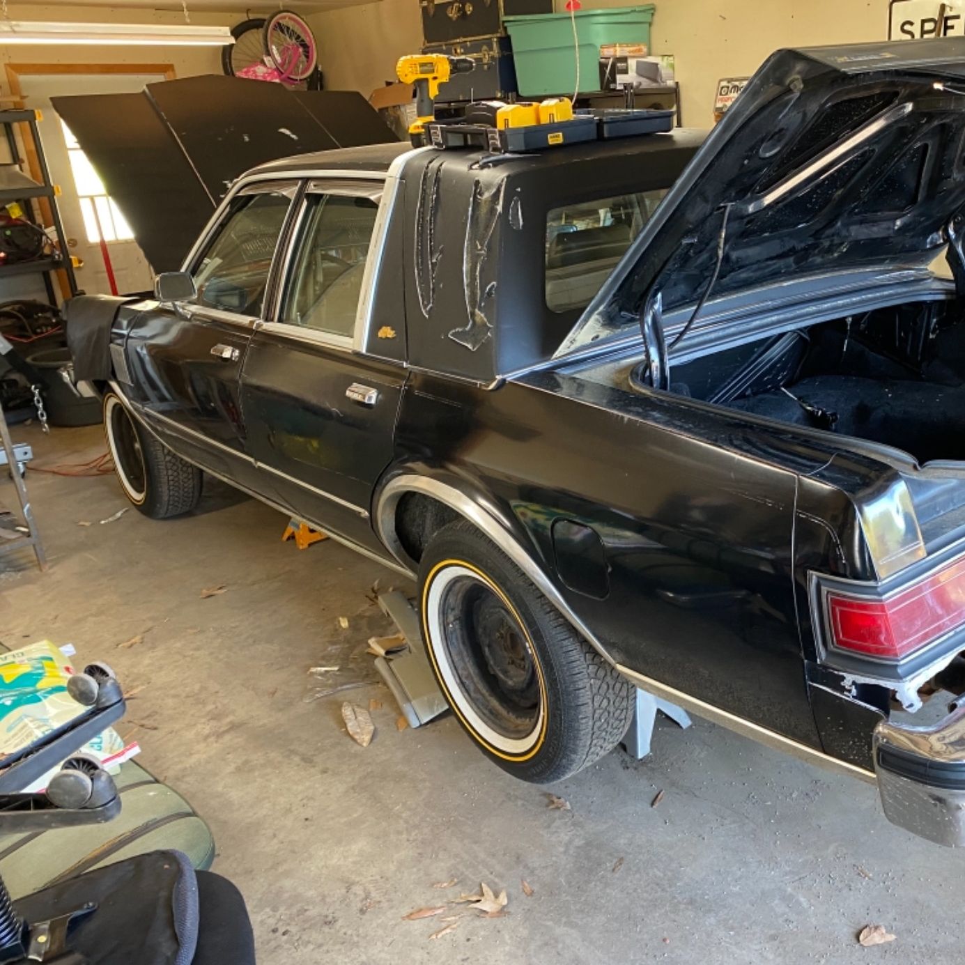 Profile of Jason Hees