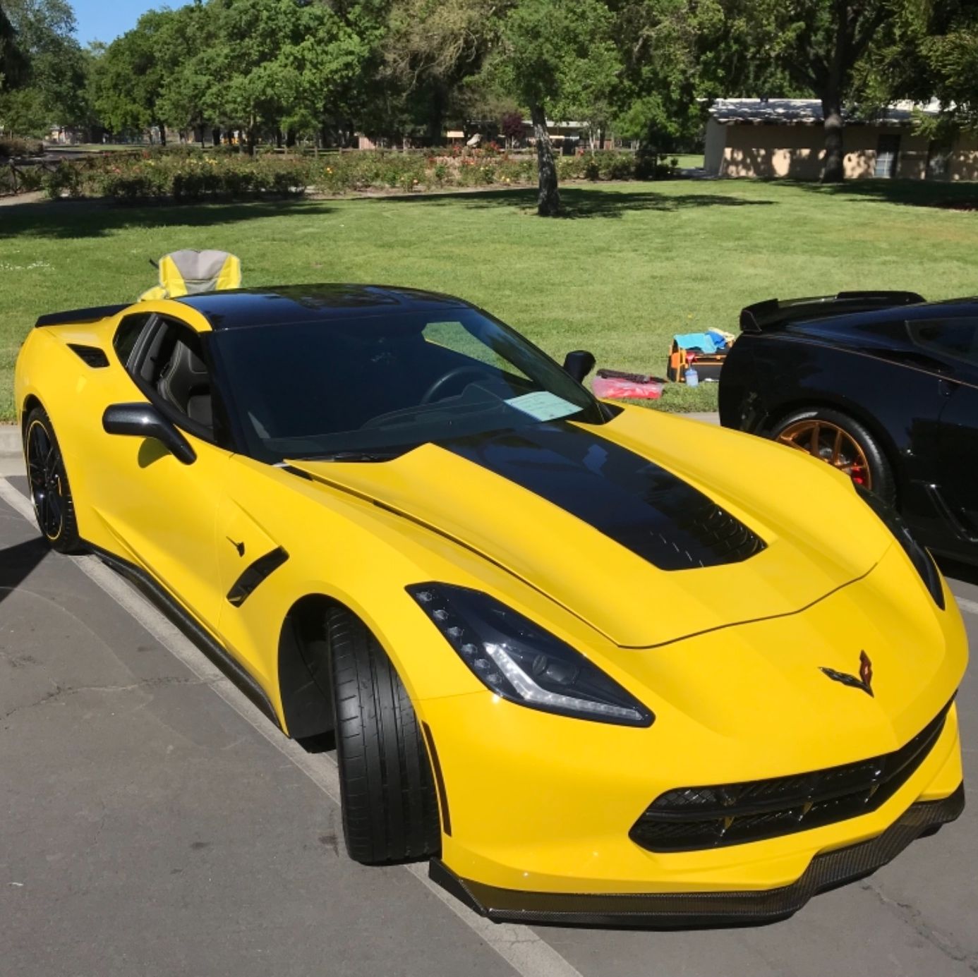 Profile of Steve Peterman