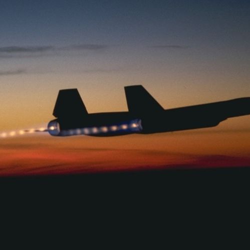 Profile of Steven Ojala