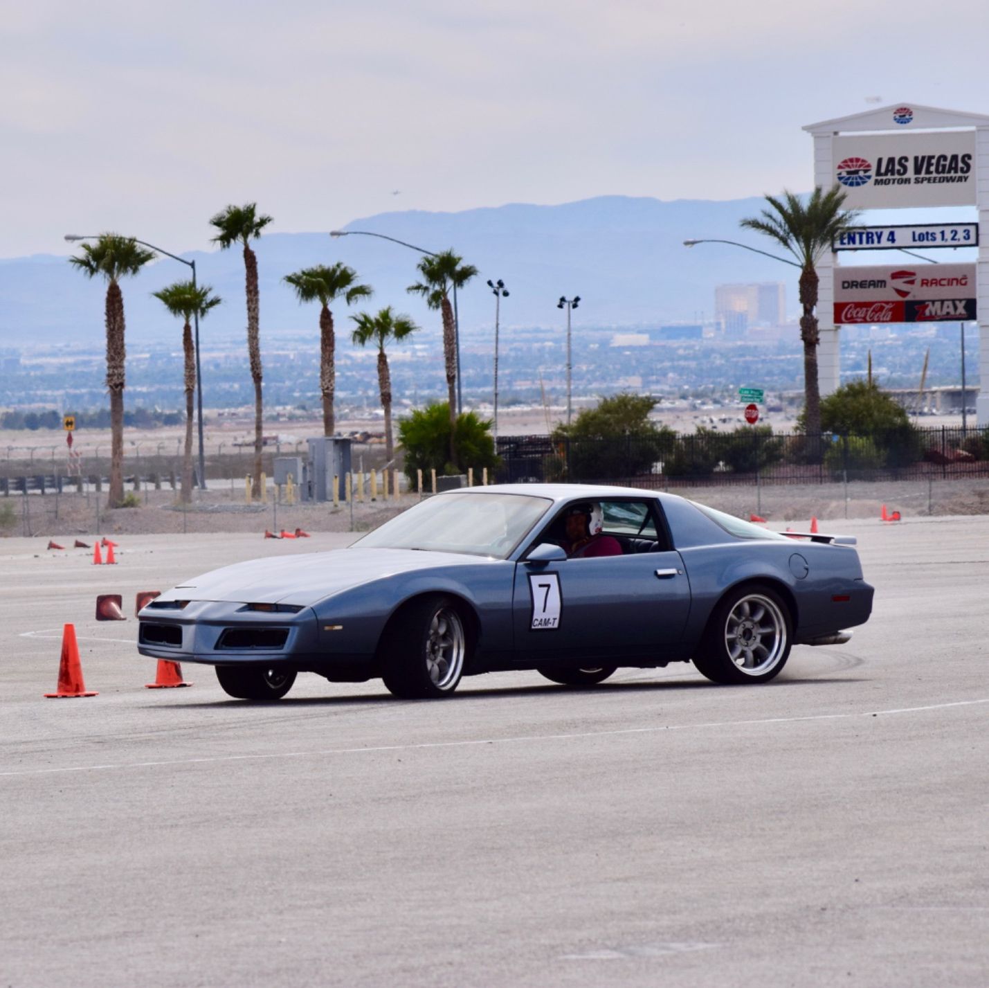 Profile of Tyler Hess