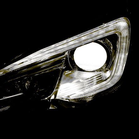 Profile of Anthony Ho