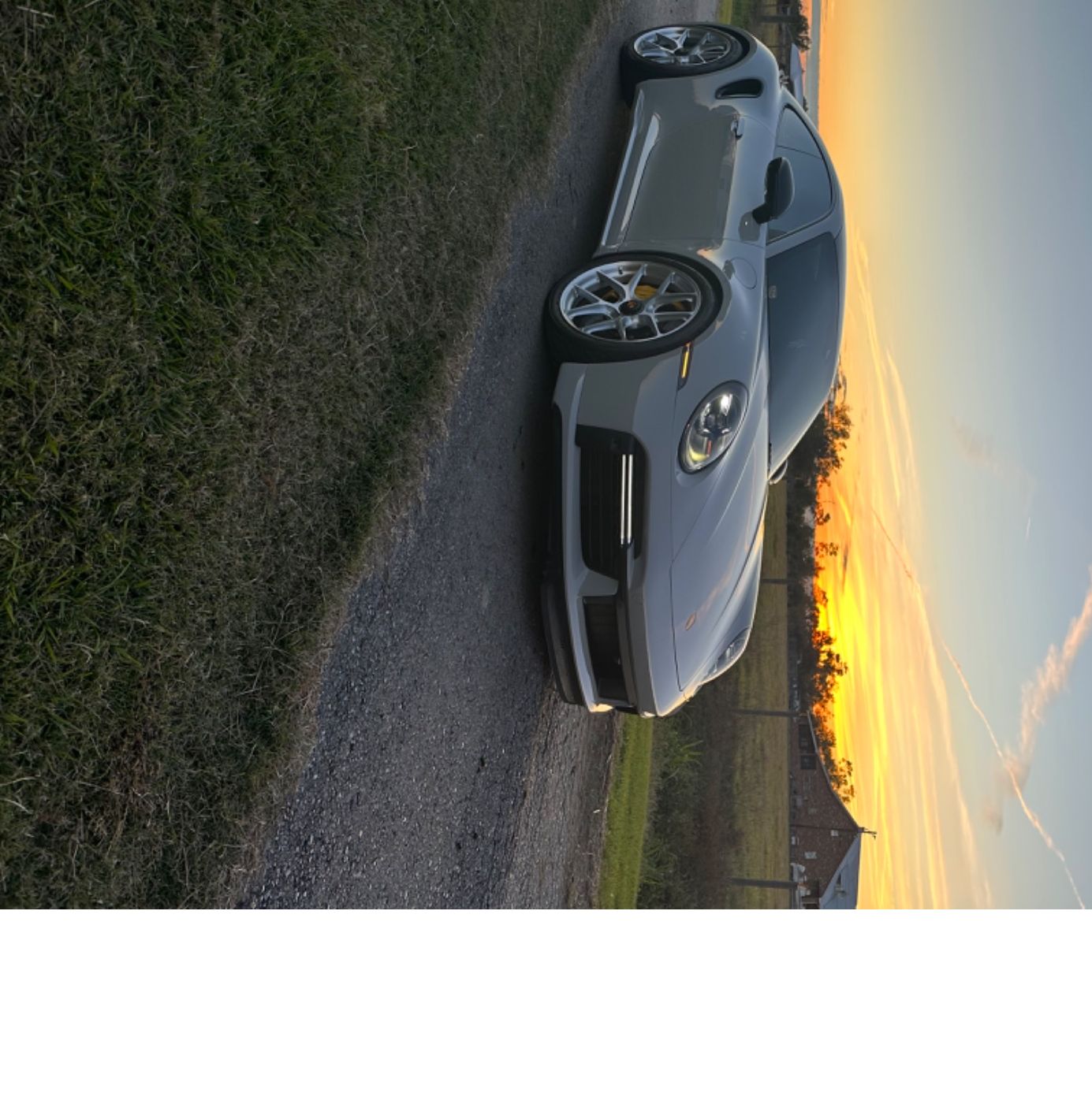 Profile of Arden Rogers