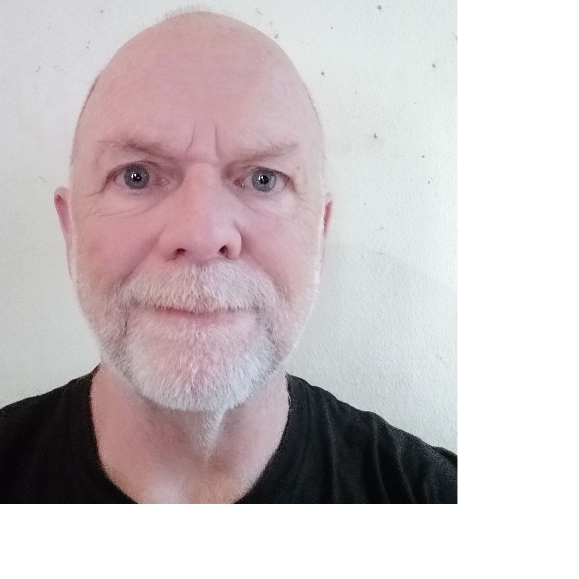 Profile of Matt Laxton