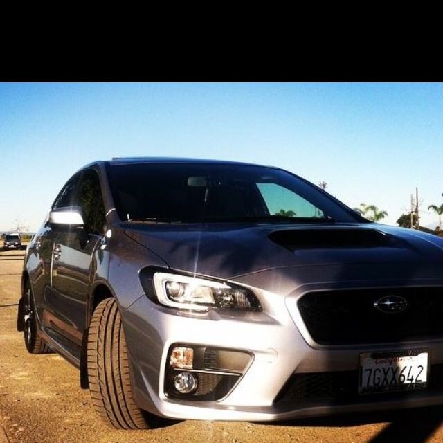 Profile of Josh Fischer