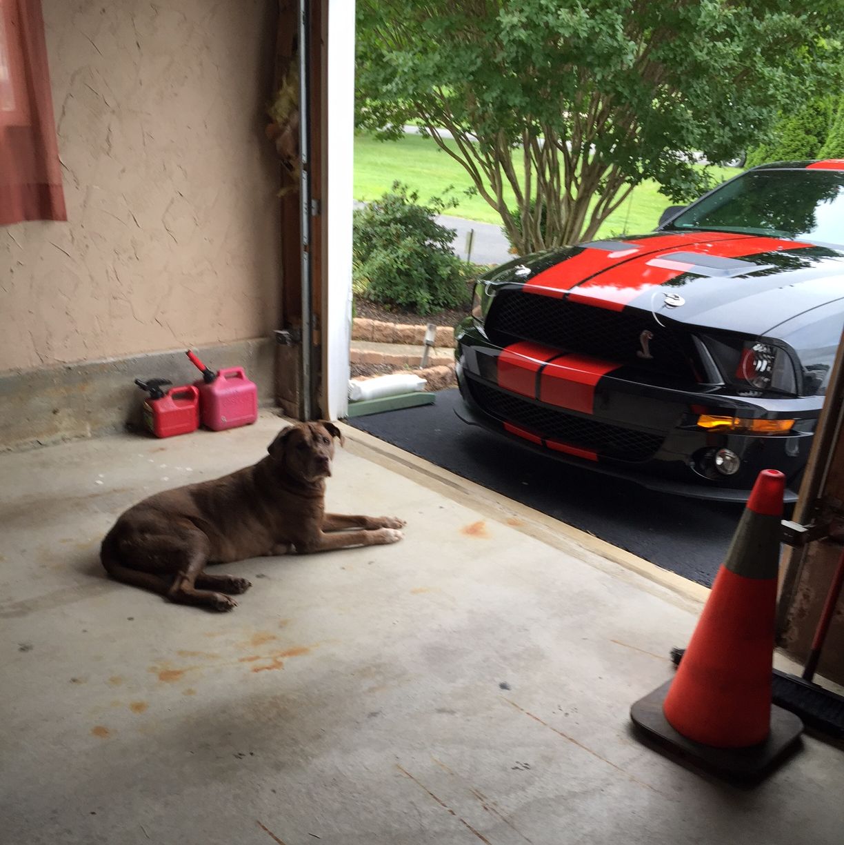 Profile of Jeff Forrest