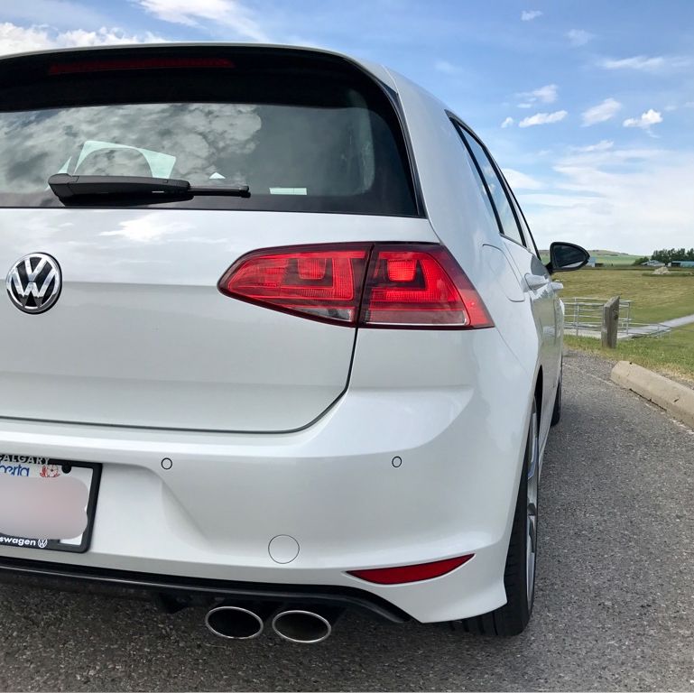 Profile of Myron Naiken