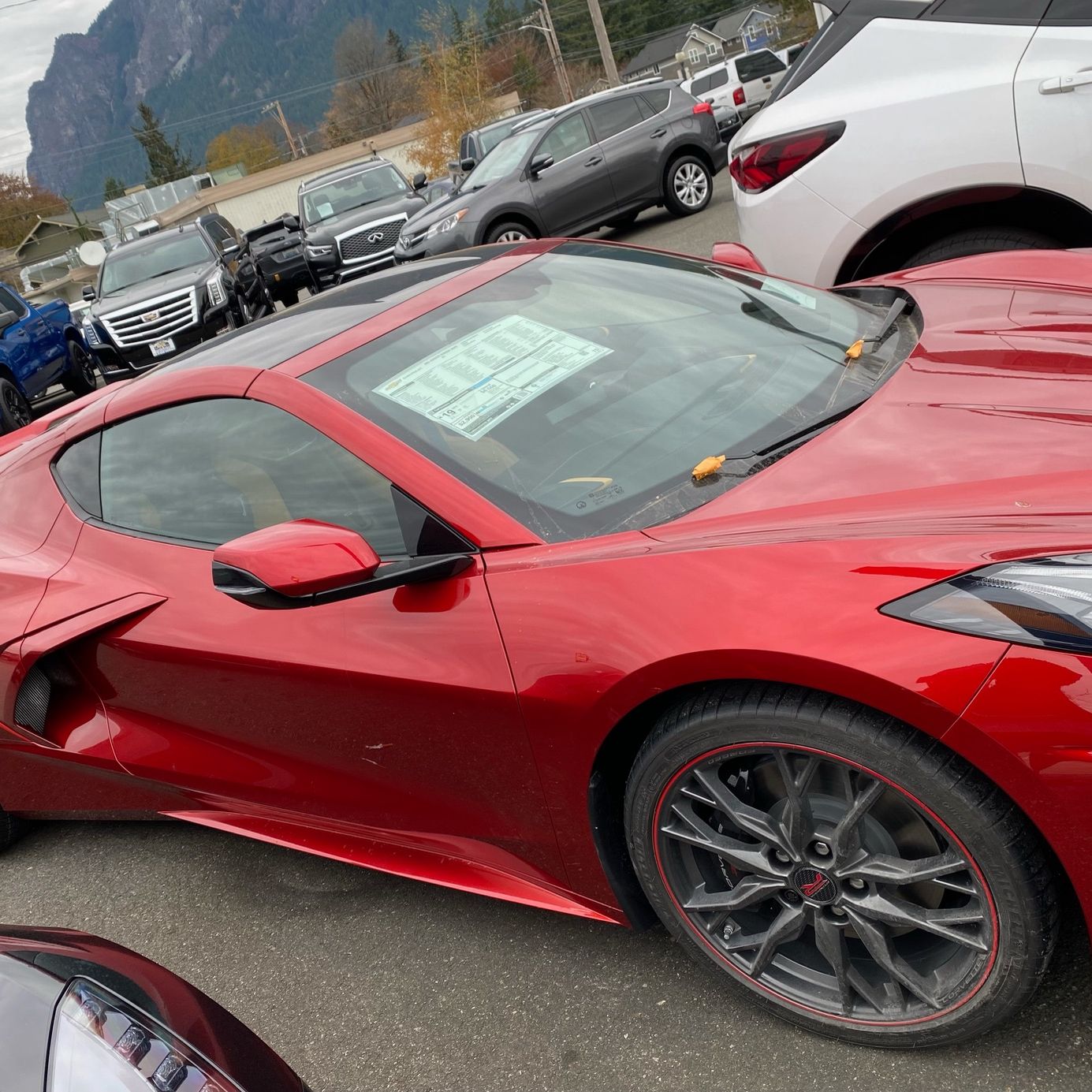 Profile of Steven Lutz