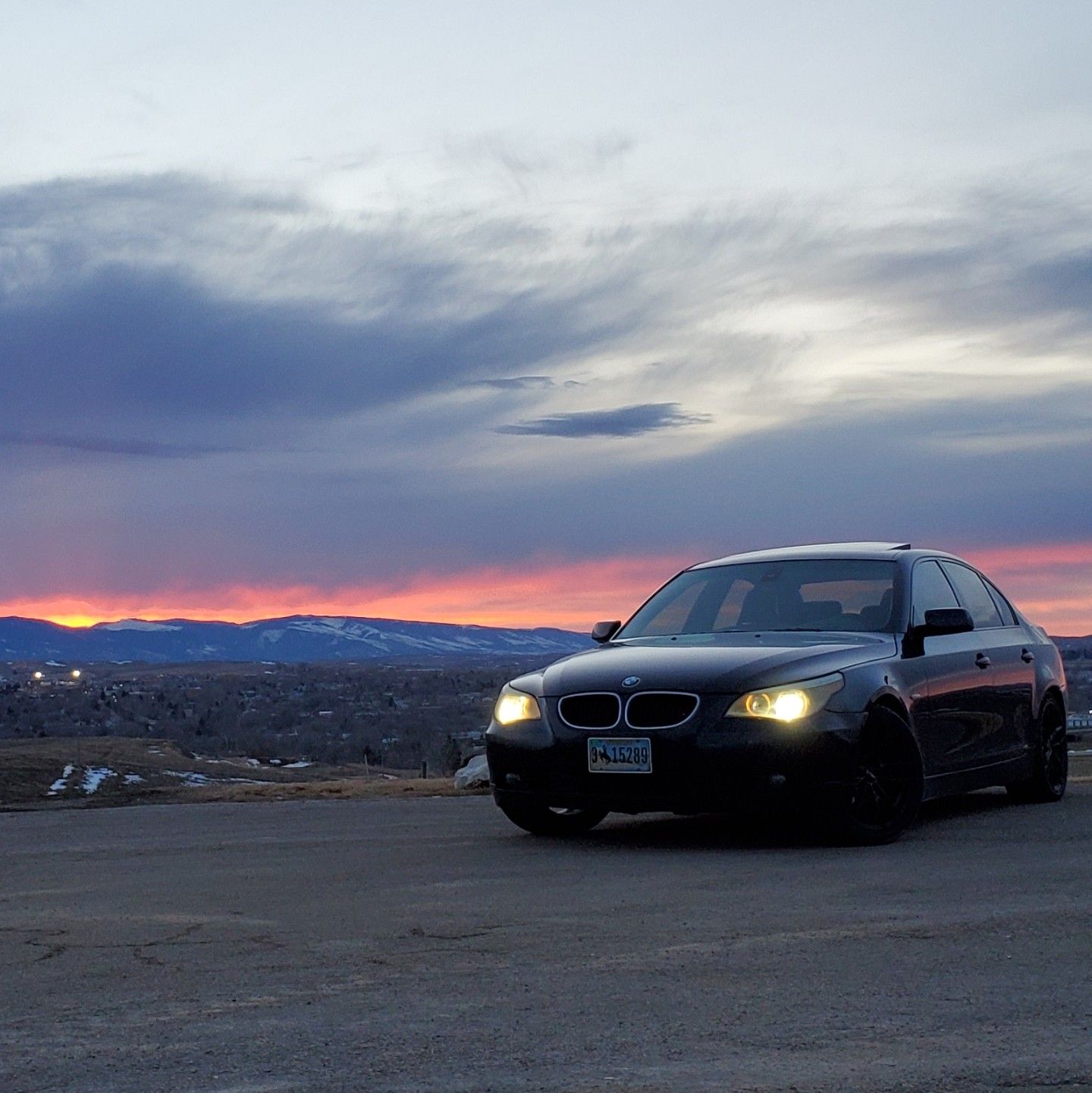 Profile of Michel Walker