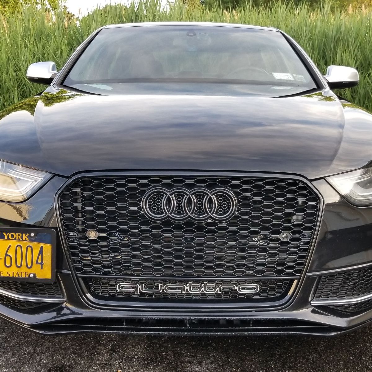 Profile of Fernando Rodriguez