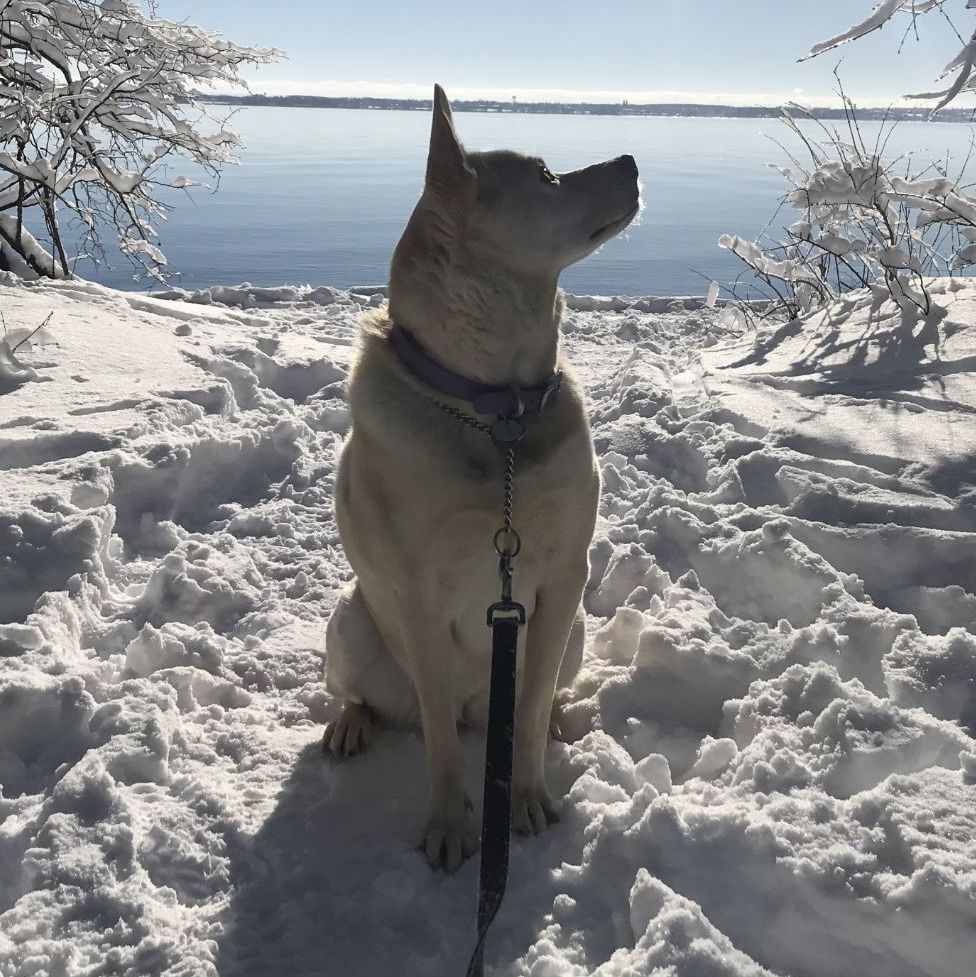 Profile of Alain Barriere