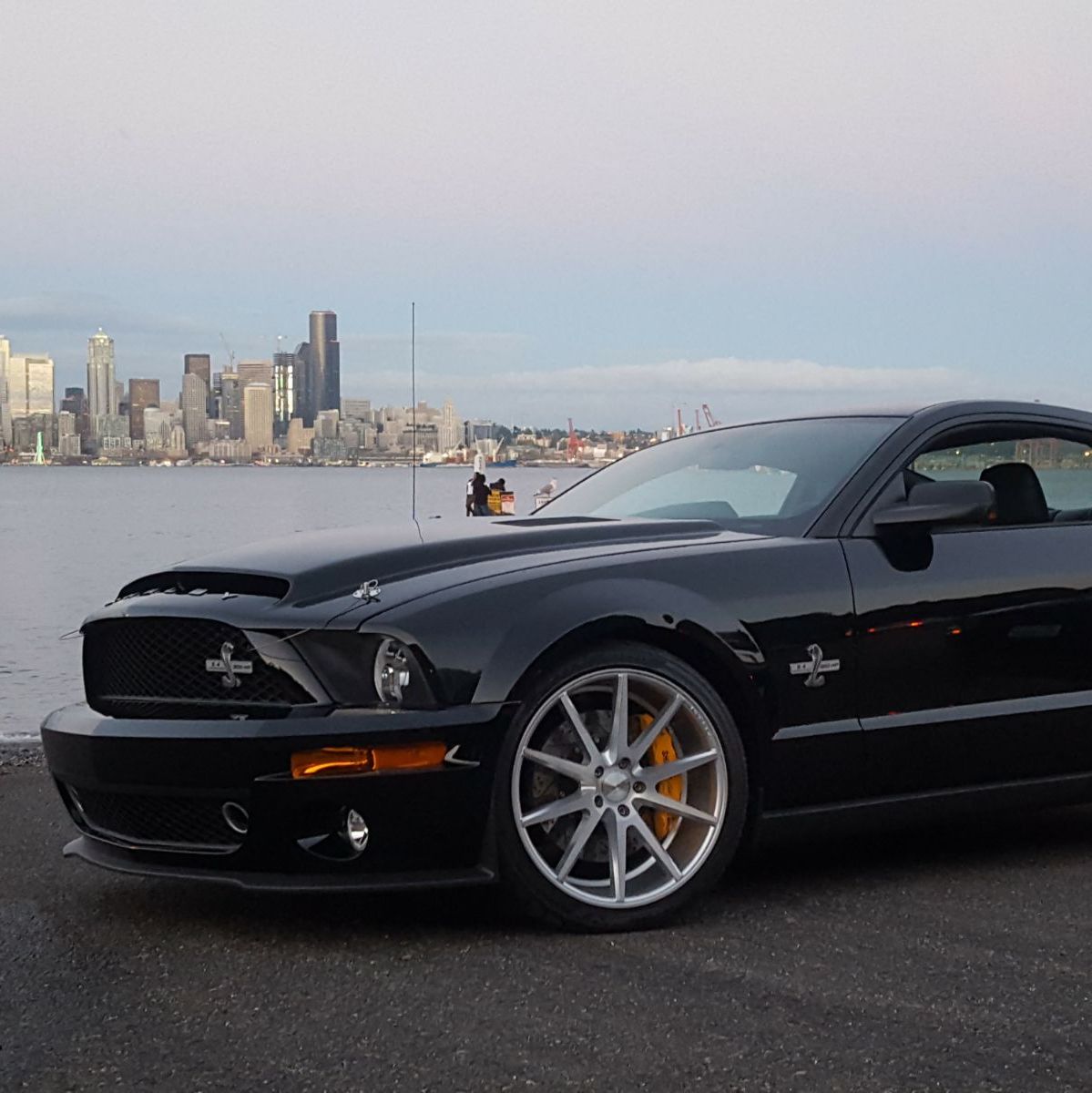 Profile of Brian Trifts