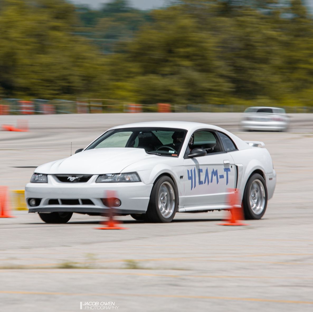 Profile of Josh Sellers