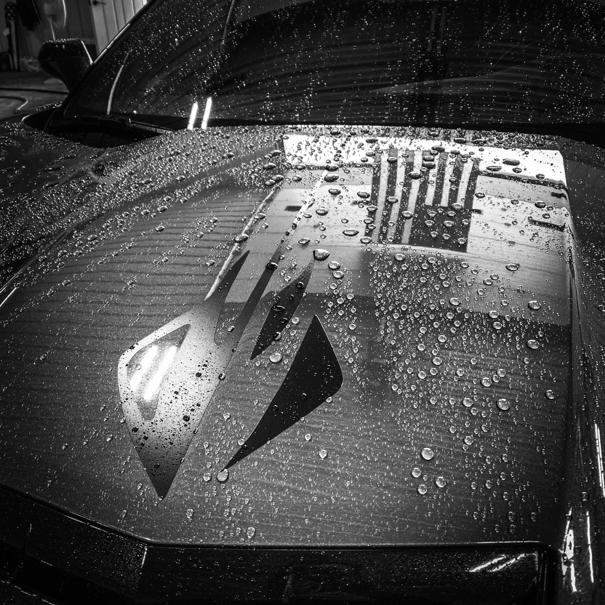 Profile of Becca Cummings