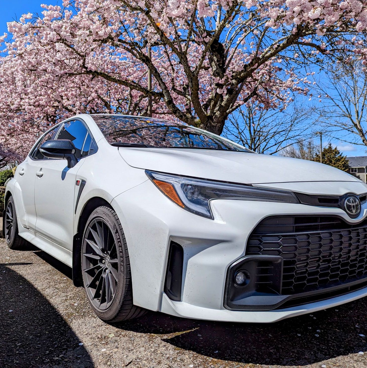 Profile of Garrick Frank