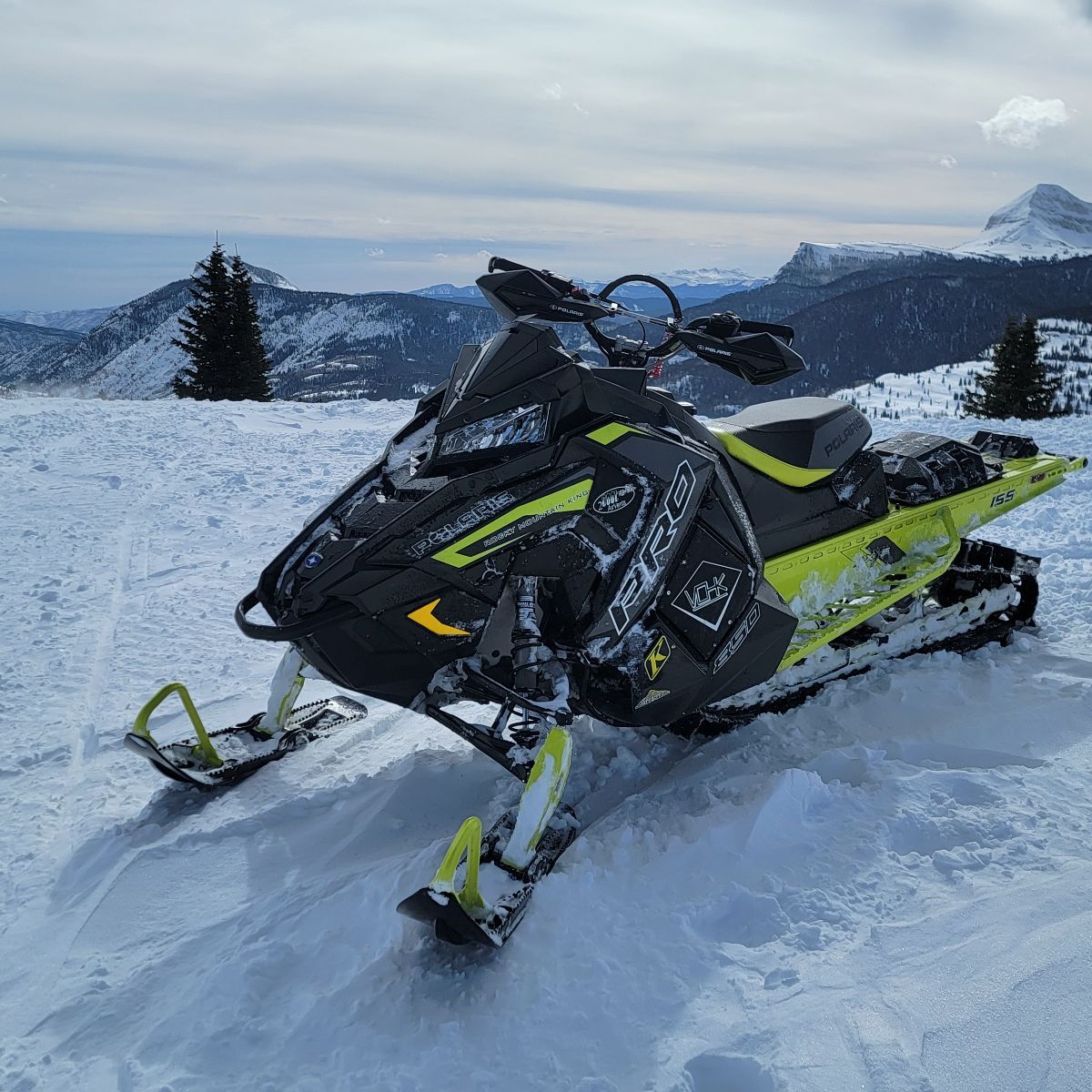 Profile of Trevor Pauls